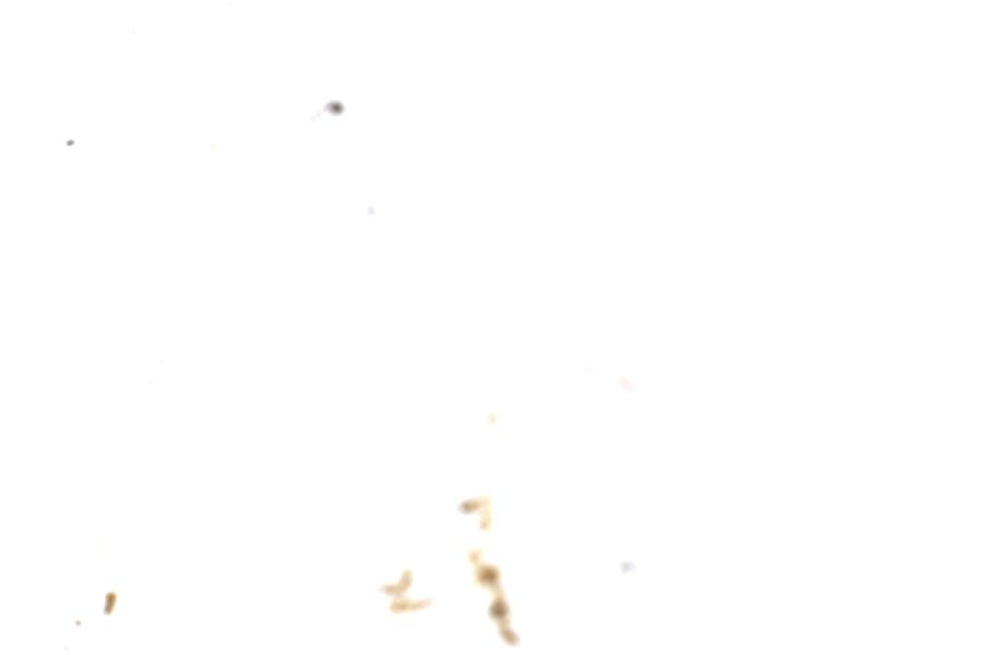 Image 69